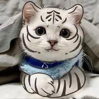 我们悔而无期头像