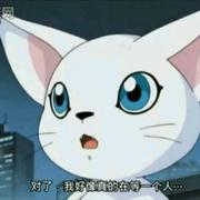 hfhuaizhi的个人资料头像