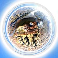 滕飞的大蒋头像