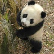 AERP地磅不落雨滴的个人资料头像