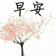 淡淡de影的个人资料头像