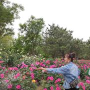 嘟嘟408的个人资料头像