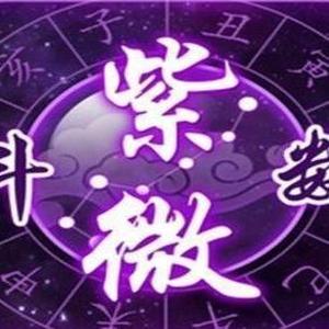 互联网宇宙中的论命师头像