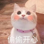 小圆子的前端之旅的个人资料头像