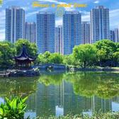 沙依阿头像