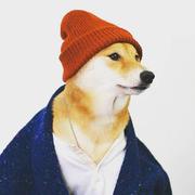 京墨581的个人资料头像