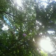 梦溪霞光的个人资料头像