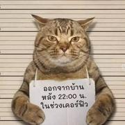 郭庆杰的个人资料头像