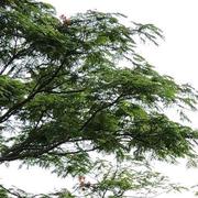 Tack437的个人资料头像