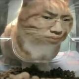 小老弟来一口头像