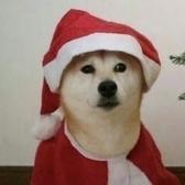 小默2013头像