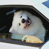 请叫偶pp头像