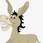 爱学习的小毛驴的个人资料头像