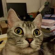 a378182002的个人资料头像