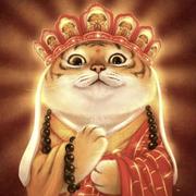 根本蓝不住的个人资料头像