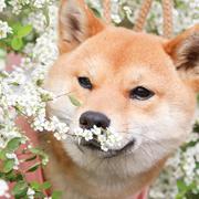 SeaGull的个人资料头像