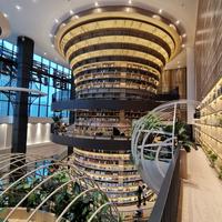 莫负韶华347头像