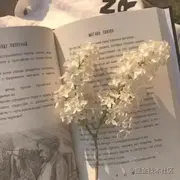 良久的个人资料头像