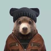 Kumay的个人资料头像