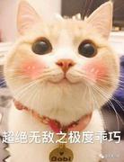 莫染柒的个人资料头像