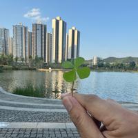 翊乔爱钓鱼头像