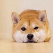 用户7172838005288的个人资料头像