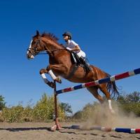 心之所在即故乡头像