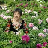 用户9625188589513头像