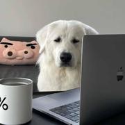 锅盖啥都会的个人资料头像