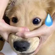 多喝热水o_O的个人资料头像