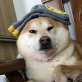 Holinlin头像