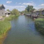 顺势而动的个人资料头像