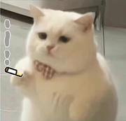 io冰河oi的个人资料头像