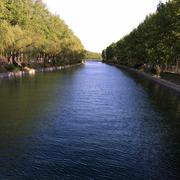 咸鱼的个人资料头像