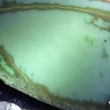 人海孤鸿头像
