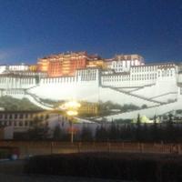 坐看风云L3Jp头像