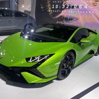 TX塞纳小白头像