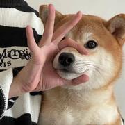 Wy347的个人资料头像