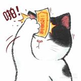 社会复杂513头像