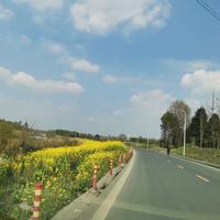 Xp大鲫大鲤头像