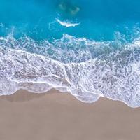 幽默荷叶qK头像