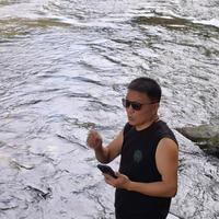 顽强花猫4U头像