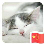 asmlcat的个人资料头像
