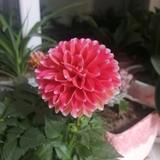 用户3578382809262头像