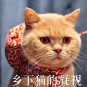 直白760的个人资料头像