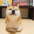 听德云相声头像