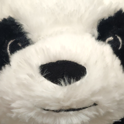 文明的熊猫的个人资料头像