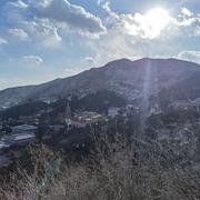 逝风而醉的个人资料头像