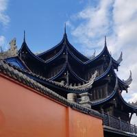 王二哥28239819头像