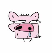 我不是小猪的个人资料头像